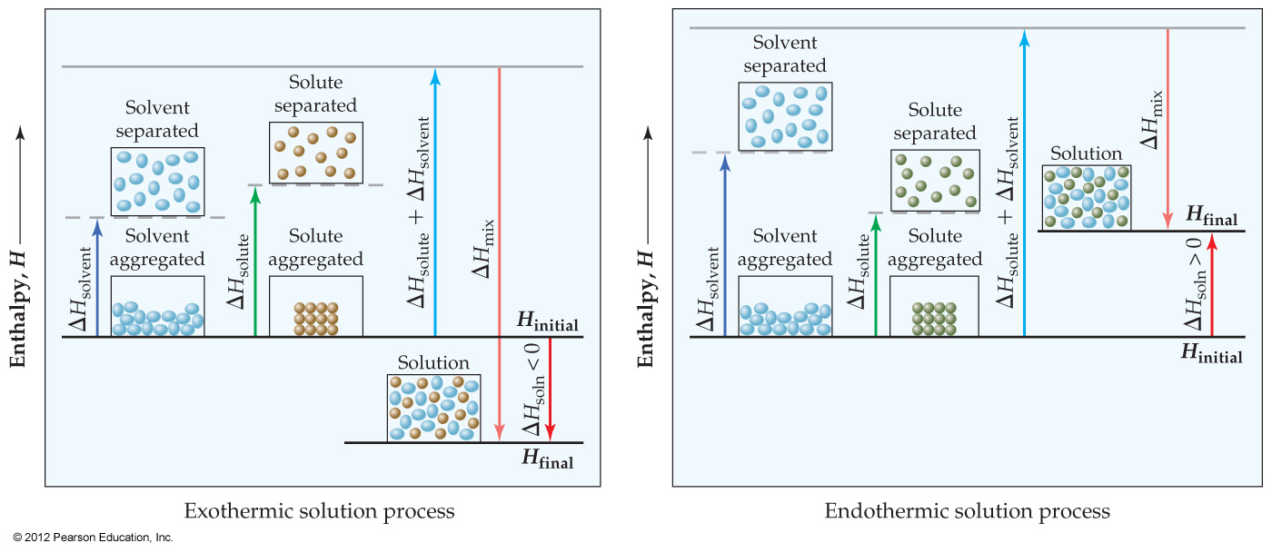 Endo Exo Solution Process